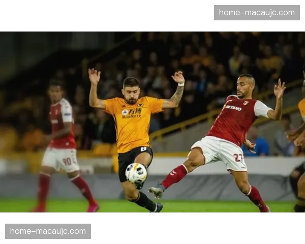 伊戈尔蒂亚戈布伦特福德19球 英超黑马前锋获巴西关注